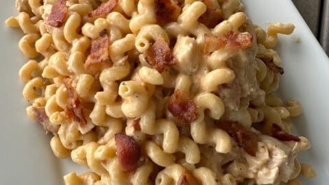 Crock Pot Chicken Alfredo with Video • Bread Booze Bacon