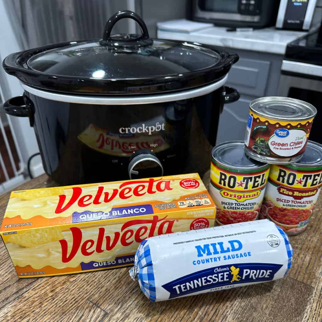 Crock Pot Mexican Sausage Dip - Num's the Word