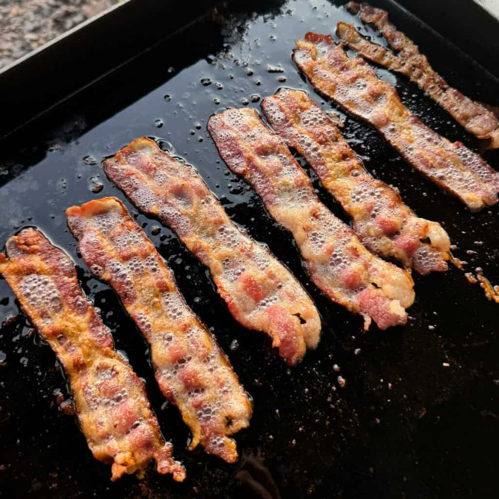 Bacon