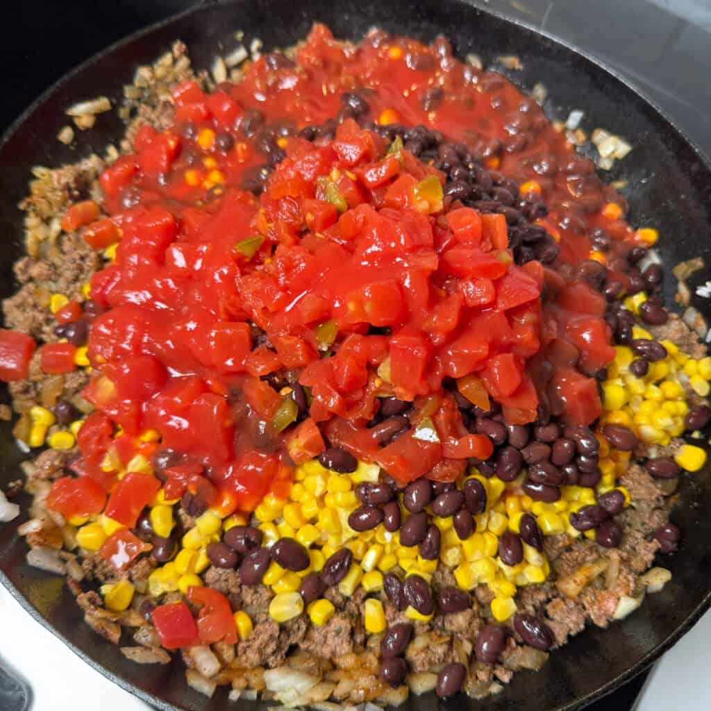 Cheesy Fiesta Taco Rice
