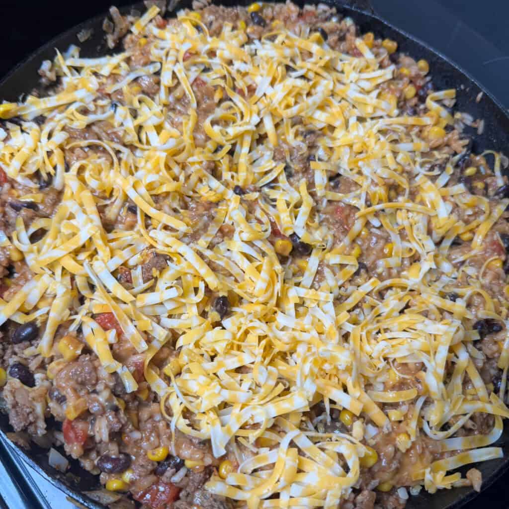 Cheesy Fiesta Taco Rice