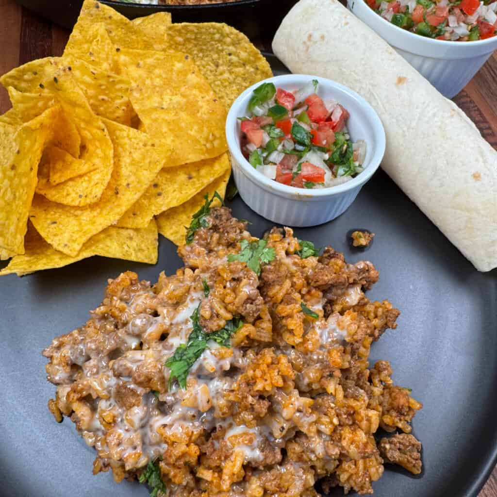 Plated Beef and Rice with Pico, tortilla chips, and tortillas