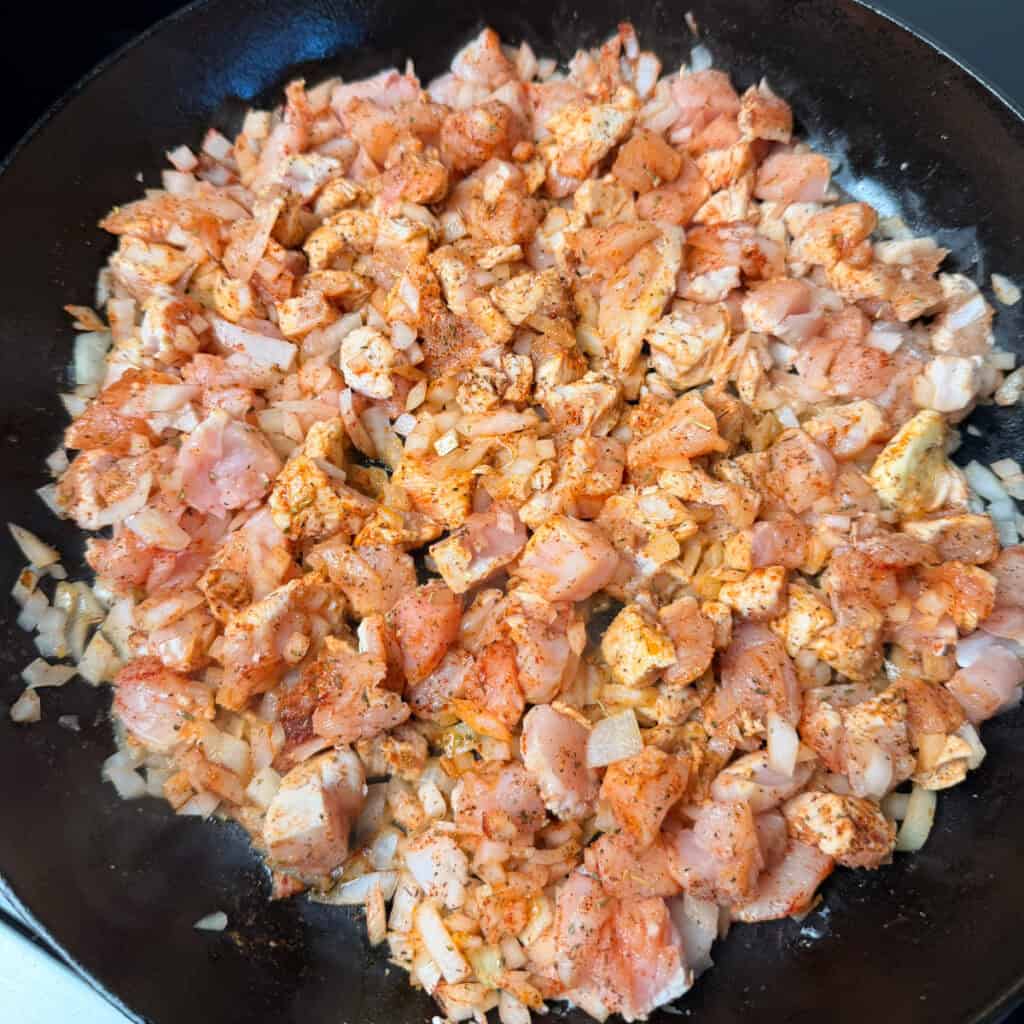 Chicken, onions, and seasoning in a skillet